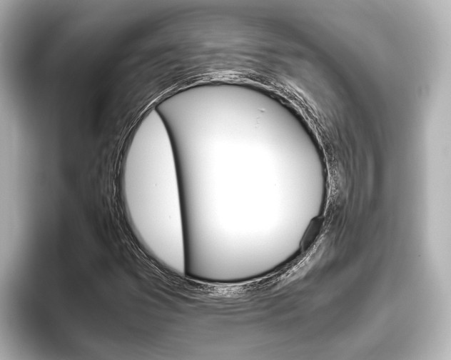X0000096461353200801241110
