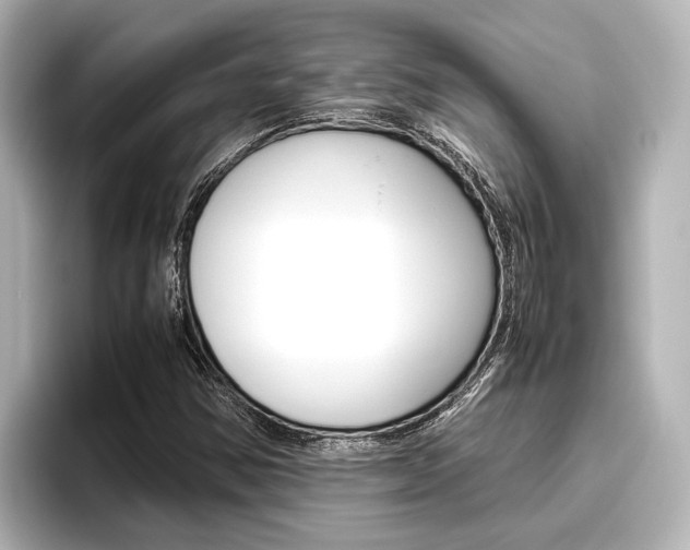X0000096461354200801241110