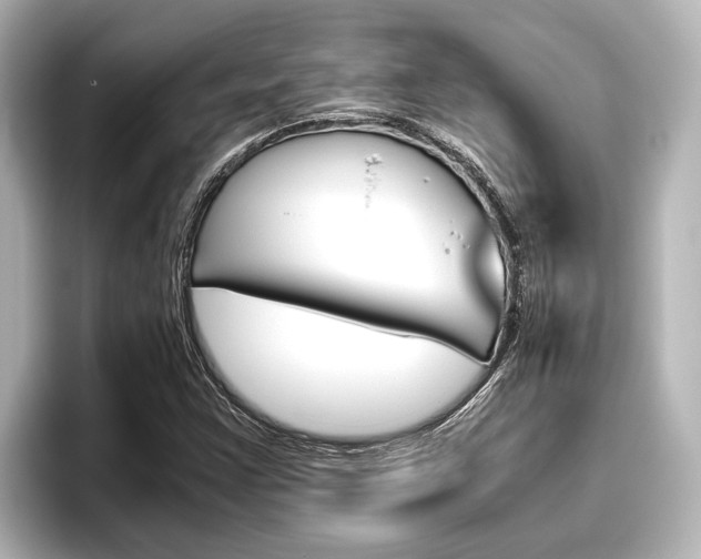 X0000096461355200801241110