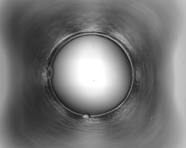 X0000096461356200801241110