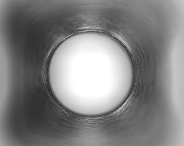 X0000096461357200801241110