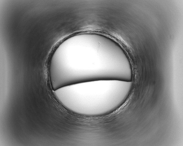 X0000096461358200801241110