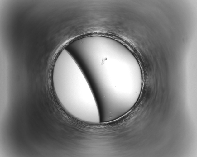 X0000096461359200801241110