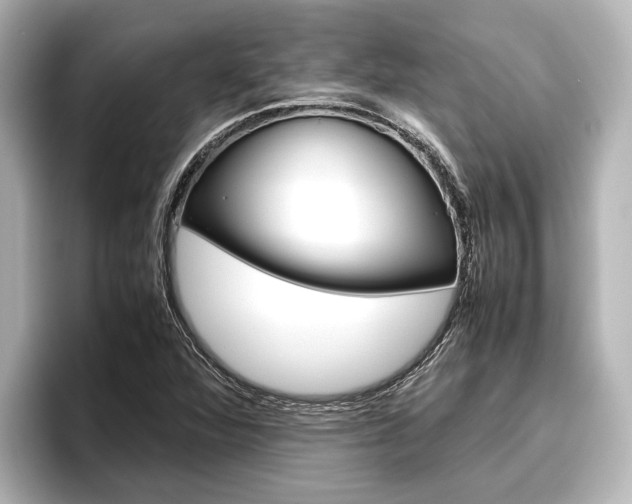 X0000096461360200801241110