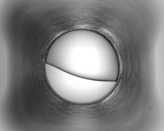 X0000096461361200801241110