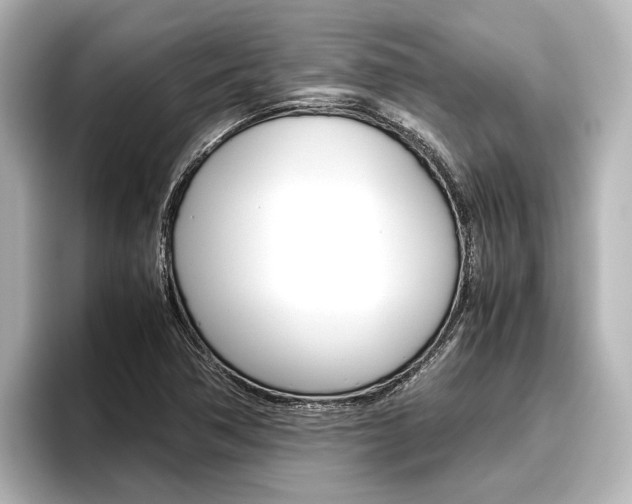 X0000096461362200801241109