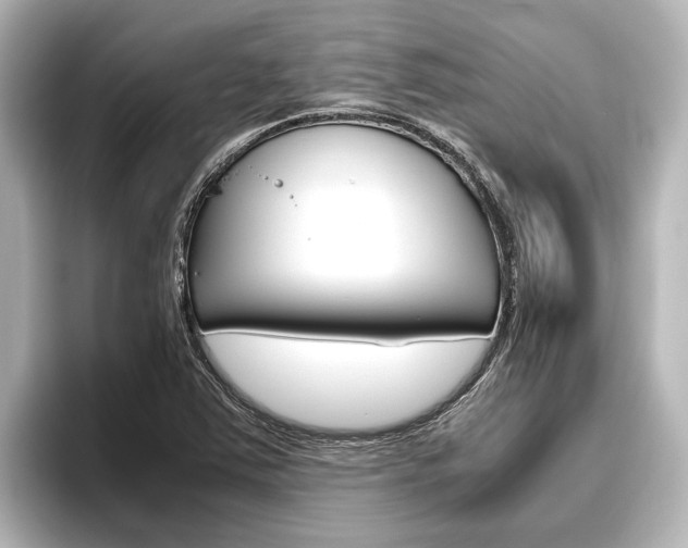 X0000096461363200801241109