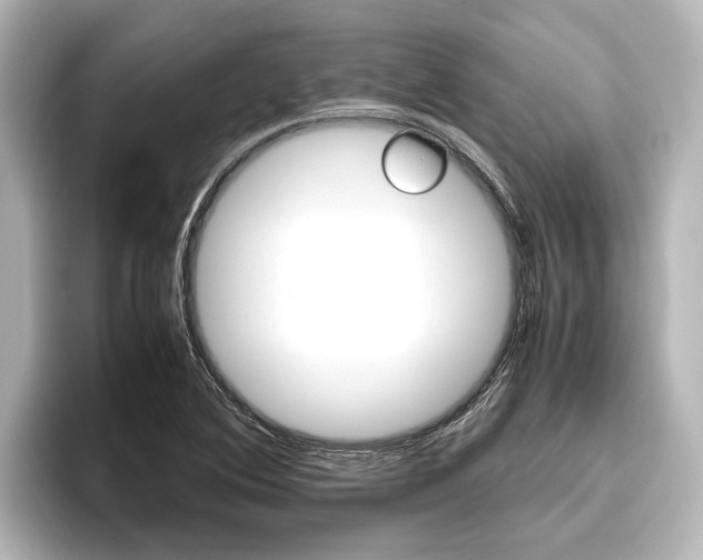 X0000096461364200801241109