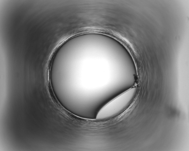 X0000096461365200801241109
