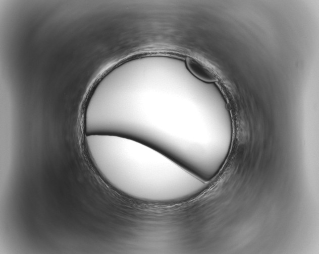 X0000096461366200801241109
