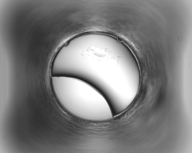 X0000096461367200801241109