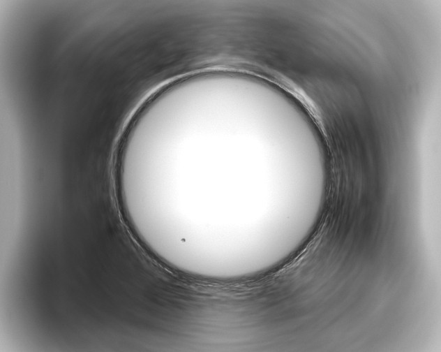 X0000096461368200801241109