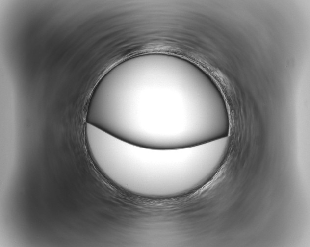 X0000096461369200801241109