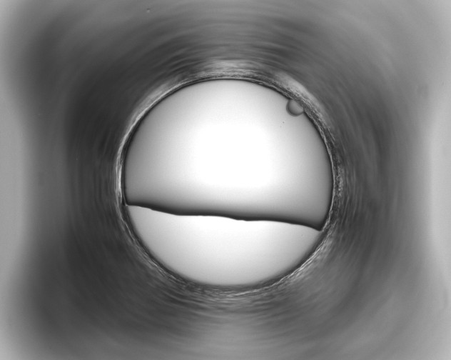 X0000096461370200801241109
