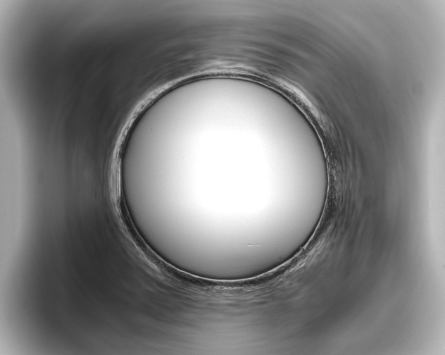 X0000096461371200801241109