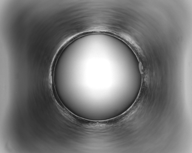 X0000096461372200801241109