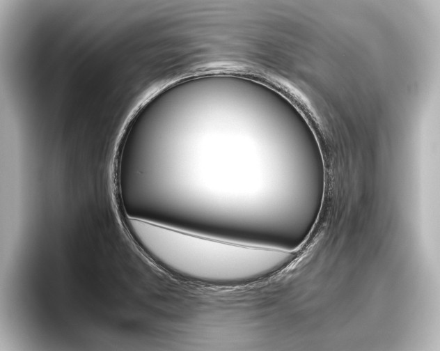 X0000096461373200801241109