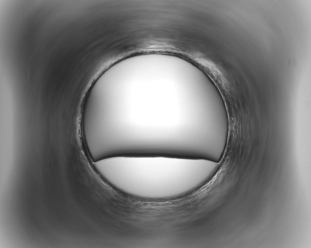 X0000096461374200801241109