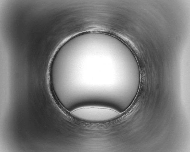 X0000096461375200801241109