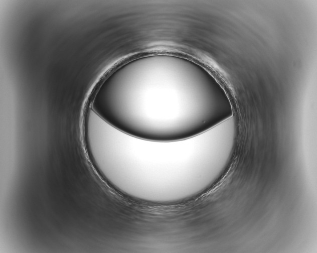 X0000096461376200801241109