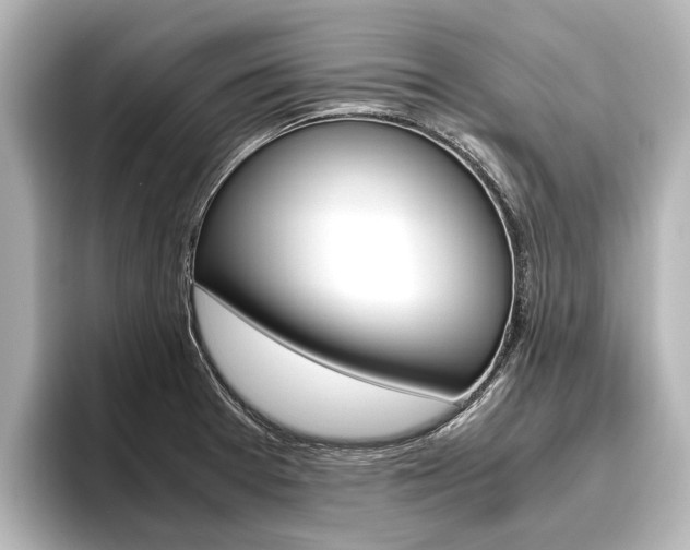 X0000096461377200801241109