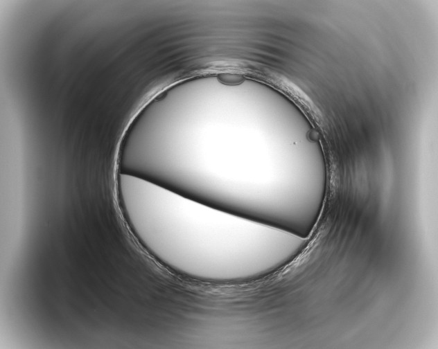 X0000096461378200801241109