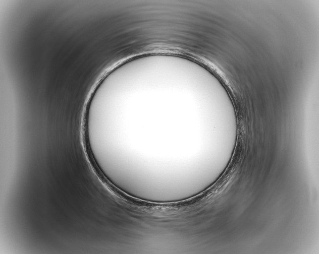 X0000096461379200801241109