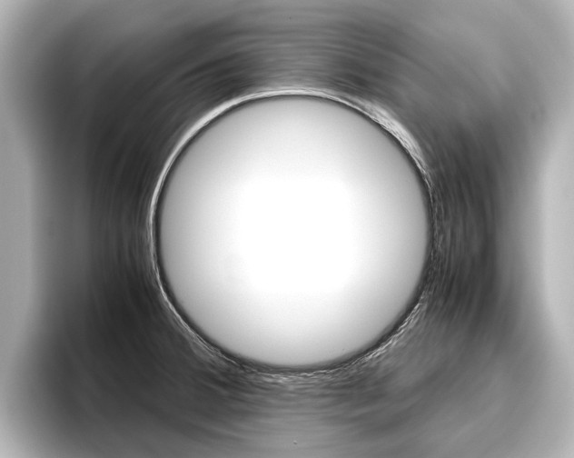 X0000096461380200801241109