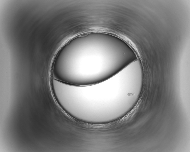 X0000096461381200801241109