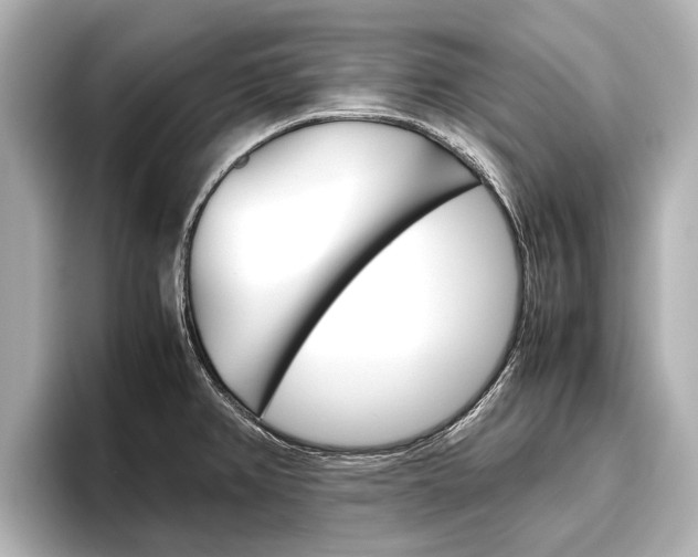 X0000096461382200801241109