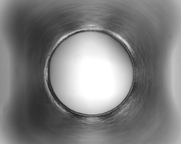 X0000096461383200801241109