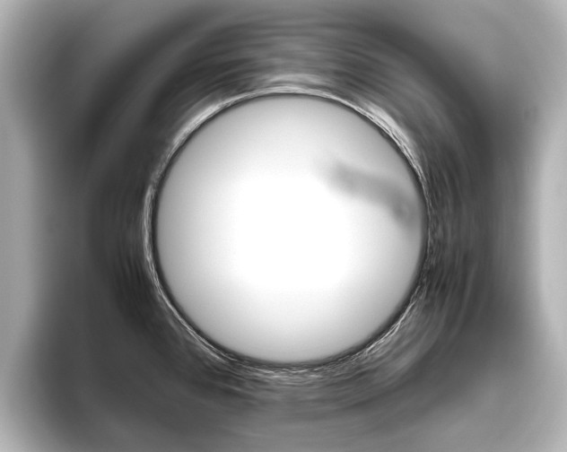 X0000096461384200801241109