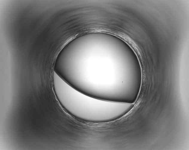 X0000096461385200801241109