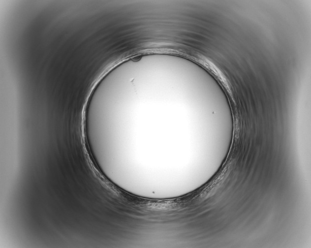 X0000096461386200801241109