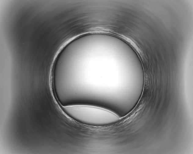 X0000096461387200801241109
