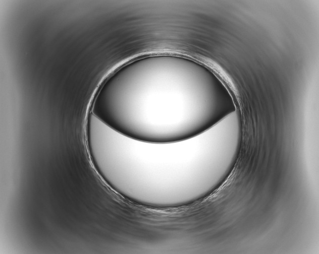 X0000096461388200801241109
