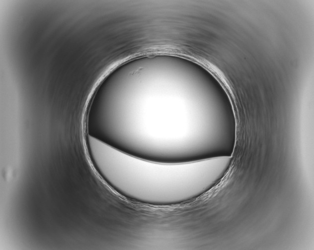X0000096461389200801241109