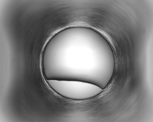 X0000096461390200801241109