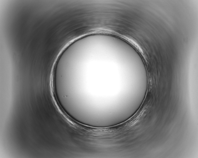 X0000096461391200801241109