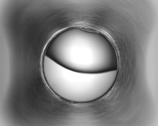 X0000096461392200801241109