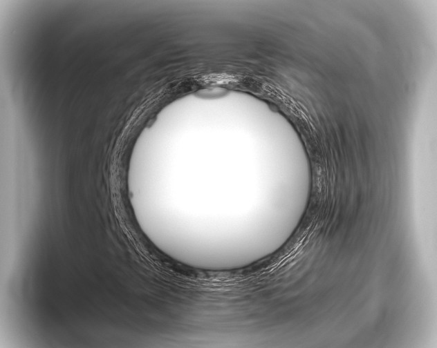 X0000096461393200801241108