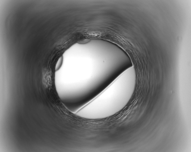 X0000096461394200801241108