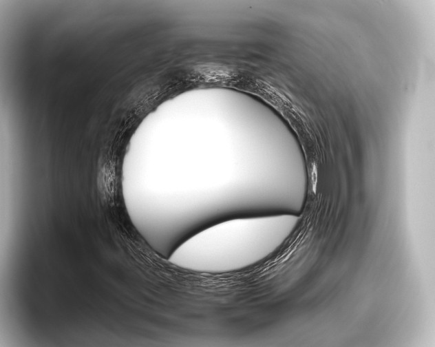 X0000096461395200801241109