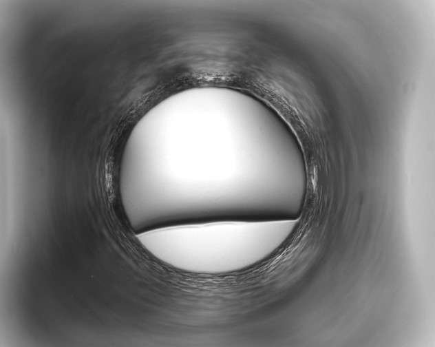 X0000096461396200801241109