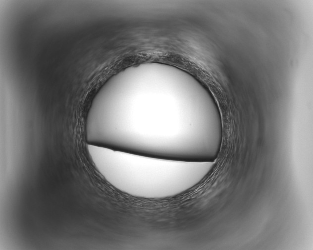 X0000096461397200801241109