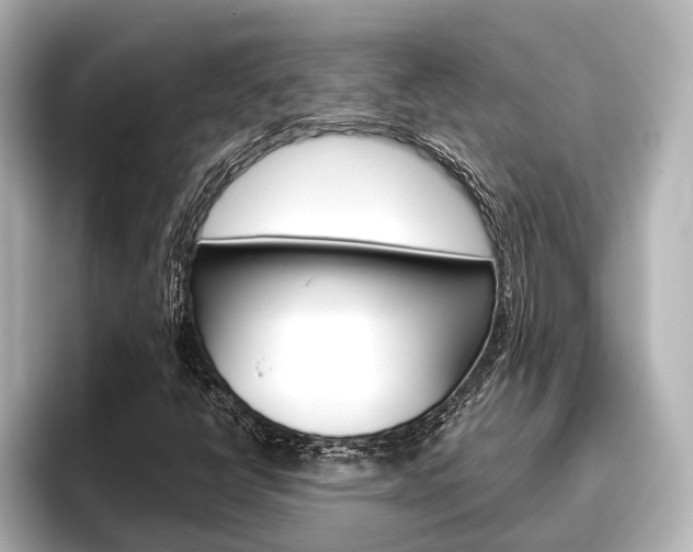 X0000096461398200801241109