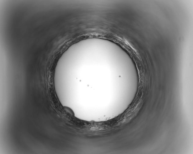 X0000096461399200801241109