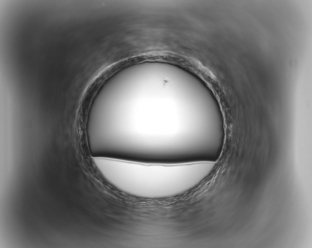 X0000096461400200801241109