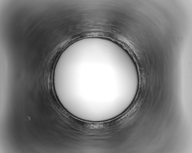 X0000096461403200801241109