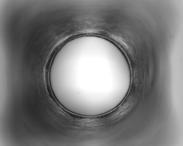 X0000096461404200801241109